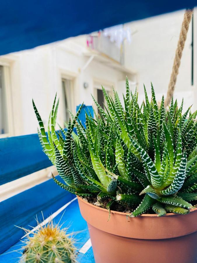 Apartamento Dimora Alfa Polignano a Mare Exterior foto